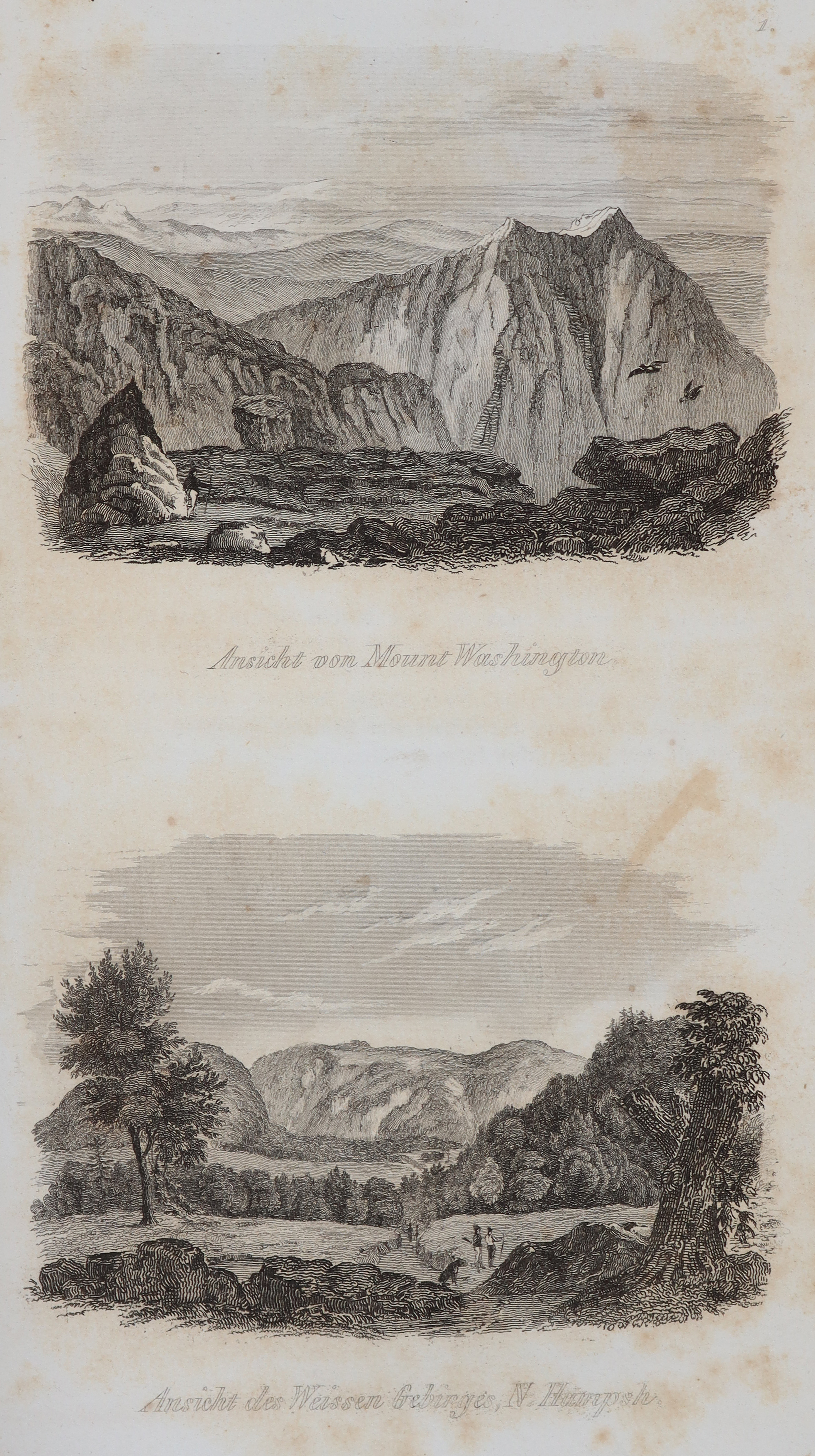 Bromme,T. | Bild Nr.1